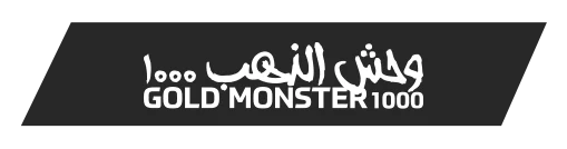 Aksaray Minelab Gold Monster 1000 - Gold Monster 1000 küçük altın dedektörü